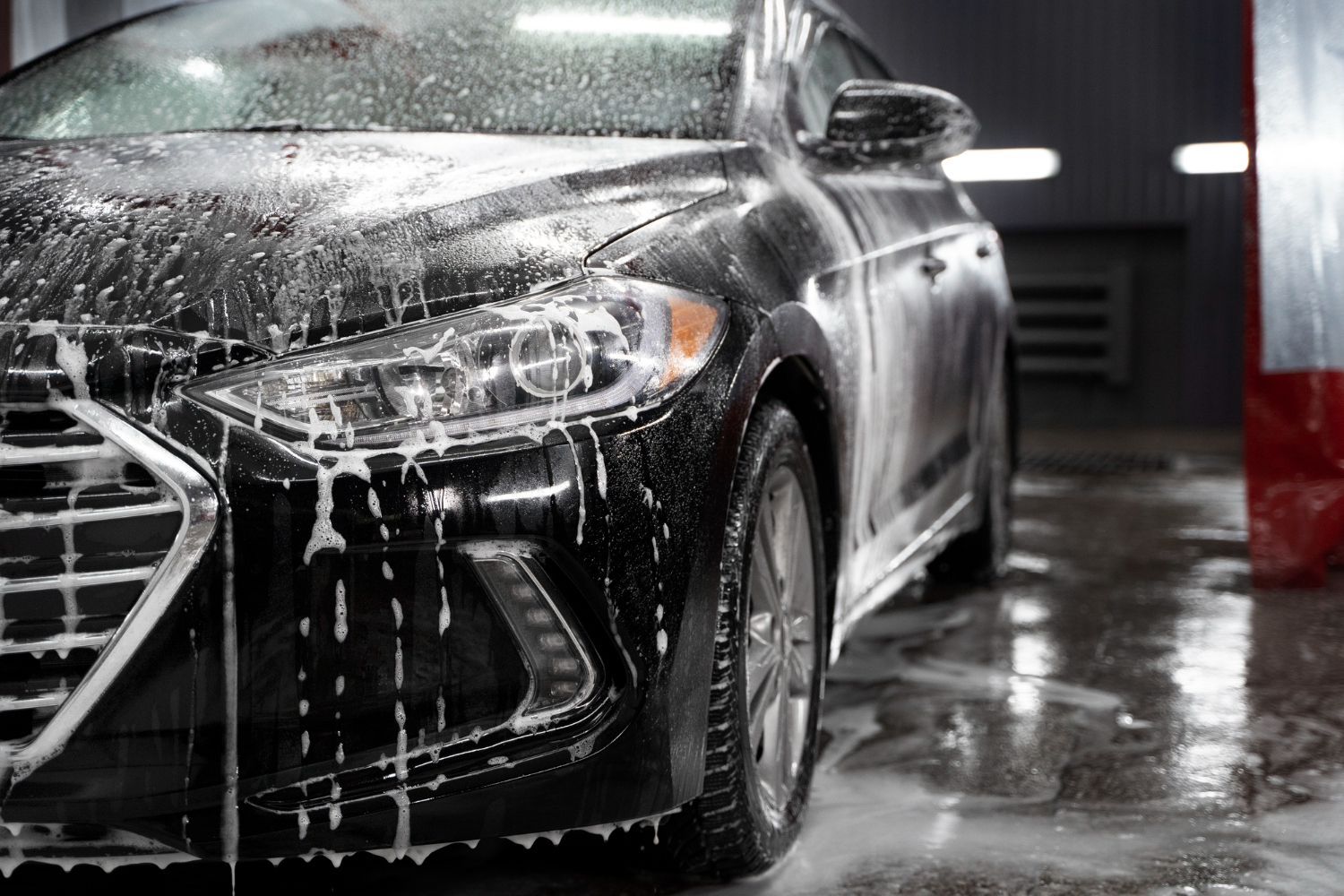 beautiful car washing service